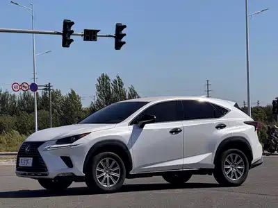 Lexus NX 2020