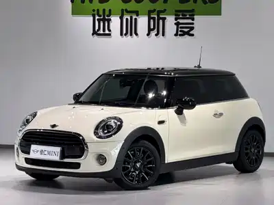 MINI MINI 2020