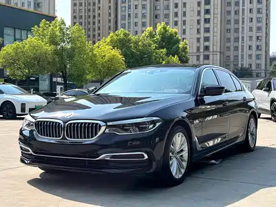 BMW 5 Series New Energy 2019