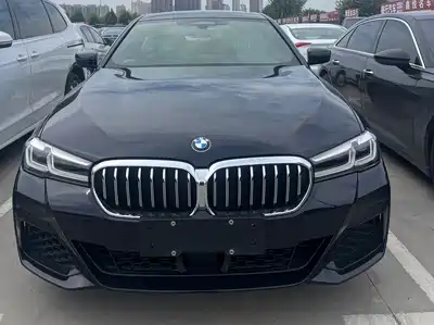 BMW 5 Series New Energy 2021