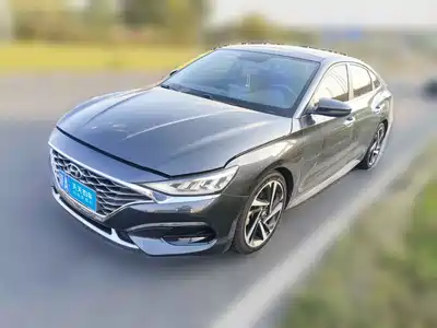 Hyundai Fista 2019