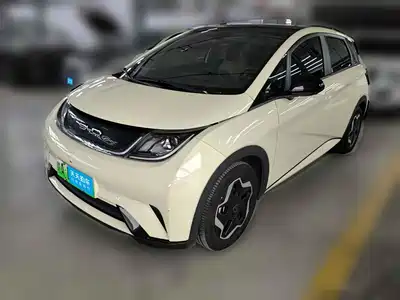 BYD Dolphin 2022