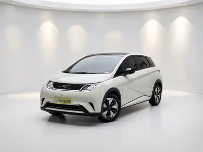 BYD Dolphin 2024