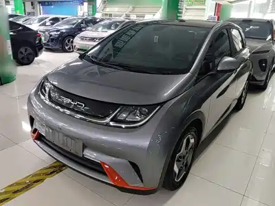 BYD Dolphin 2022