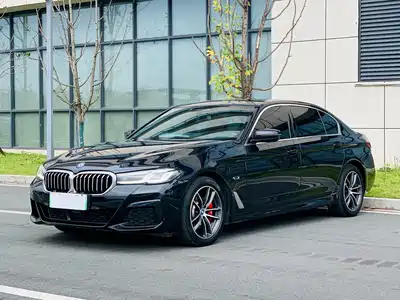 BMW 5 Series New Energy 2022
