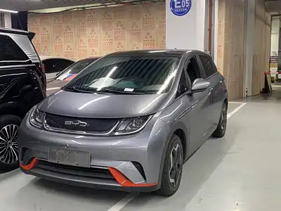 BYD Dolphin 2022