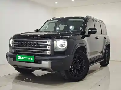 Haval Meng Long NEV 2025