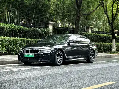 BMW 5 Series New Energy 2021