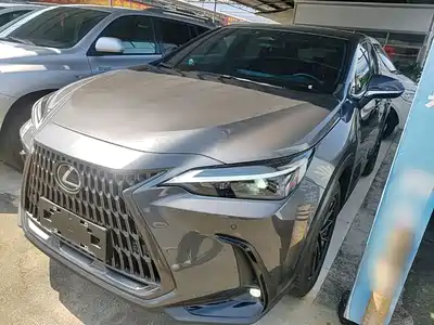 Lexus NX 2024