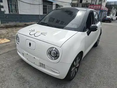 Ora Black Cat 2021