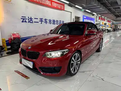 BMW 2 Series (Import) 2019