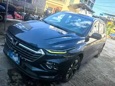 Wuling Motors Victory 2020