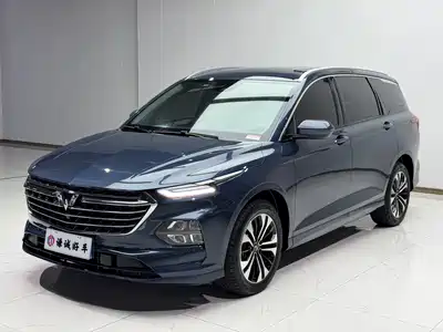 Wuling Motors Victory 2022