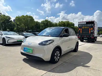 Wuling Motors Bingo 2024