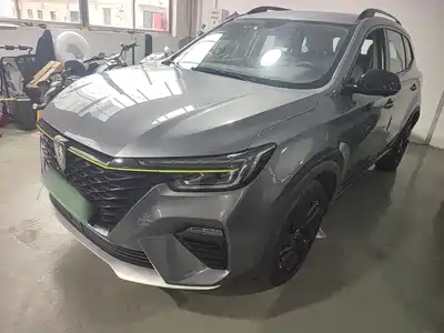 Roewe RX5 New Energy 2021