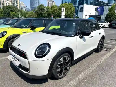 MINI MINI 2024