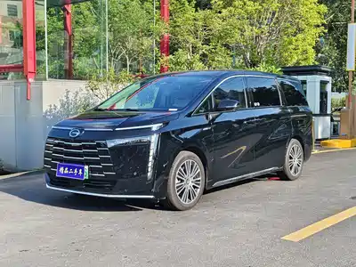 GAC Trumpchi E8 NEV 2024