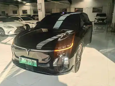 Voyah Auto Zhiyin 2025