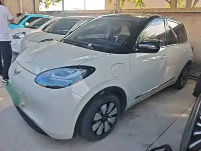 Wuling Motors Bingo 2024