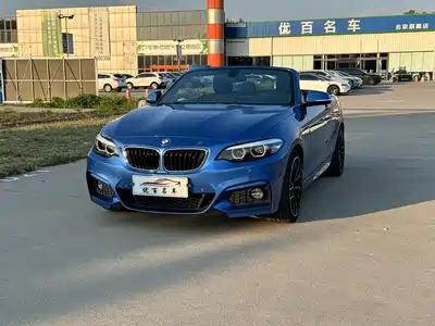 BMW 2 Series (Import) 2018