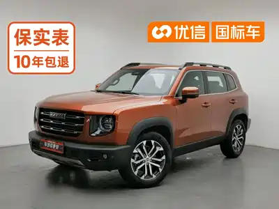 Haval Big Dog 2021