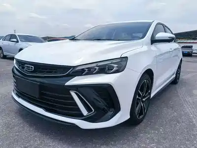 Geely Binrui 2022