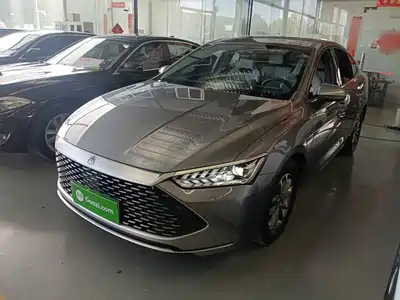 BYD Qin PLUS 2024
