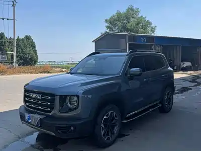 Haval Big Dog 2021