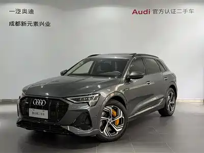 Audi e-tron 2021