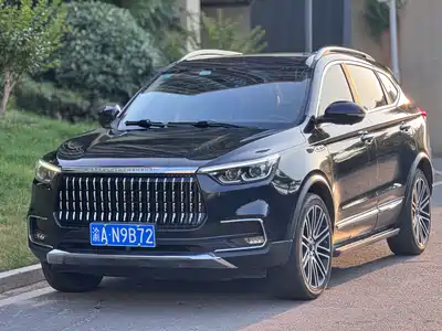 Leopaard Mattu 2018