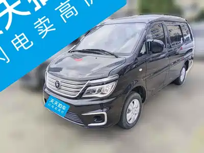Dongfeng Fengxing Lingzhi 2022