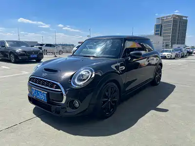 MINI MINI 2019