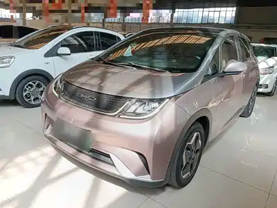 BYD Dolphin 2022
