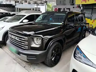 Haval Meng Long NEV 2024