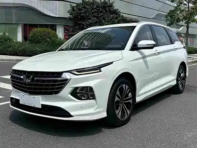 Wuling Motors Victory 2020