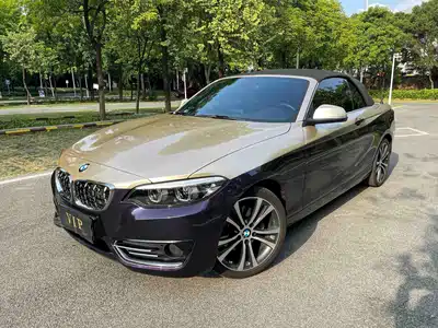 BMW 2 Series (Import) 2020