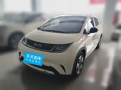 BYD Dolphin 2024