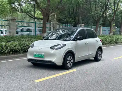 Wuling Motors Bingo 2024