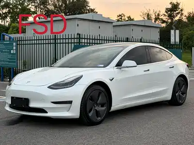 Tesla Model 3 (Import) 2019