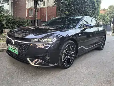 Voyah Auto Zhuiguang 2024