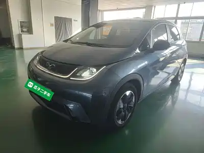 BYD Dolphin 2024