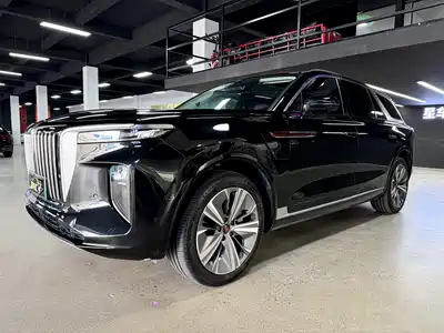 Hongqi E-HS9 2021