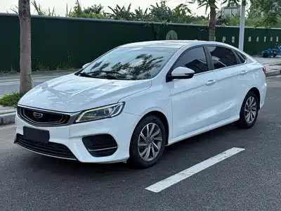 Geely Binrui 2020