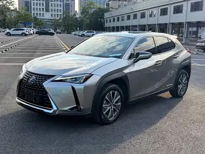 Lexus UX300e 2022