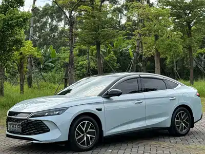 BYD Qin PLUS 2025