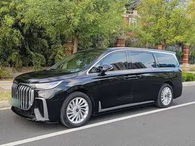 Voyah Auto Dreamer 2024