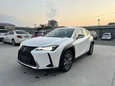 Lexus UX300e 2022