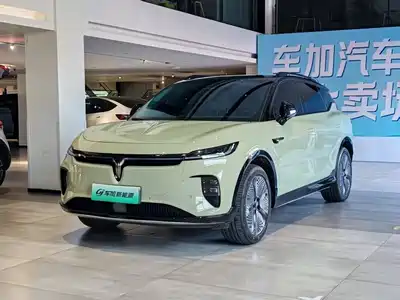 Voyah Auto Zhiyin 2025