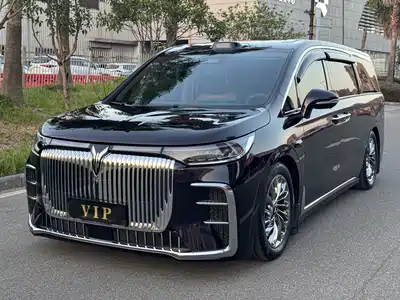 Voyah Auto Dreamer 2025