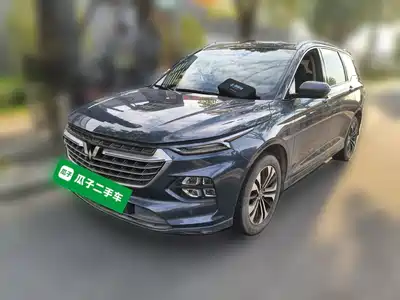Wuling Motors Victory 2021